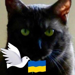 Meet your Posher, Wanda